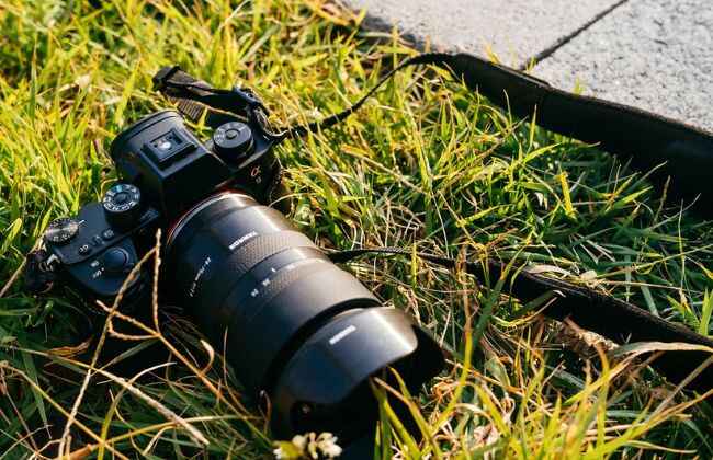Sony a9 III Review: A Game-Changer for Action & Wildlife Photographers