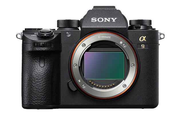 Sony a9 III Review: A Game-Changer for Action & Wildlife Photographers